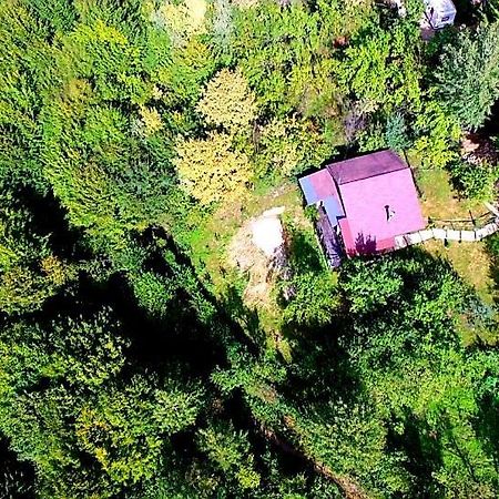 Mystically Wood House In The Forest Carjari Екстер'єр фото