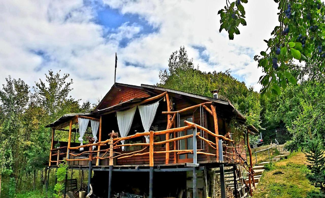 Mystically Wood House In The Forest Carjari Екстер'єр фото