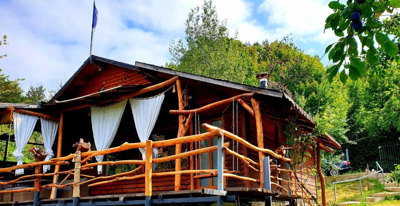 Mystically Wood House In The Forest Carjari Екстер'єр фото