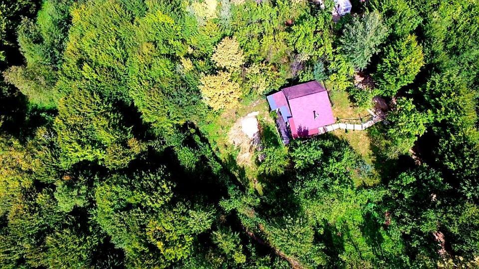 Mystically Wood House In The Forest Carjari Екстер'єр фото